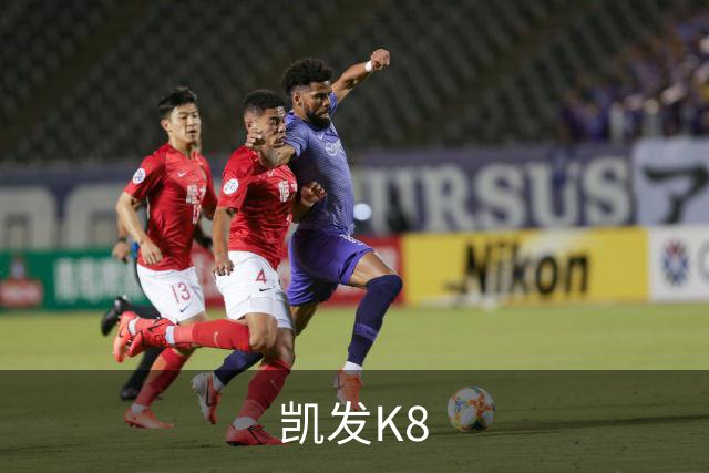 凯发K8公司介绍